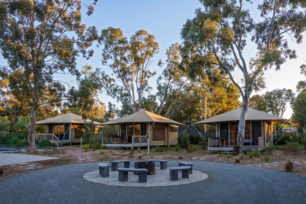 Discovery Parks - Barossa Valley Tanunda Buitenkant foto